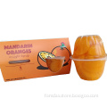 Mandarin Oranges in Light Syrup 113g